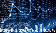 如何解决B特派里的BCH无法